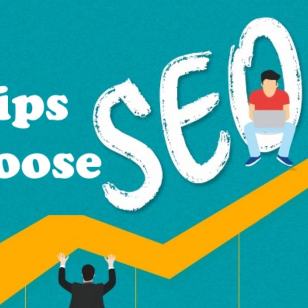 PRO TIPS TO CHOOSE SEO PACKAGES